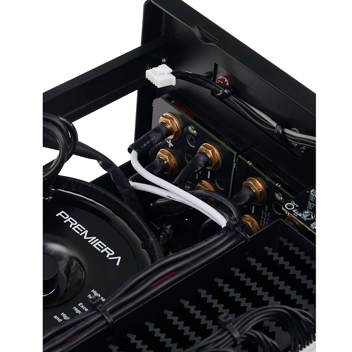 Интегральный усилитель Premiera A5 AXIOM Golden Black - рис.6