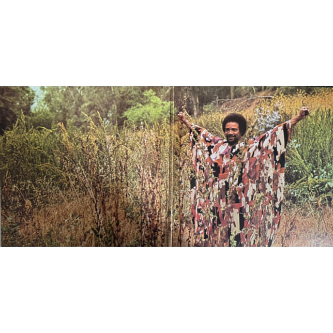 Виниловая пластинка Quincy Jones - Smackwater Jack LP - рис.5