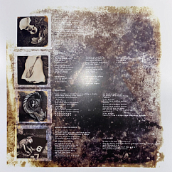 Виниловая пластинка Pixies - Doolittle LP