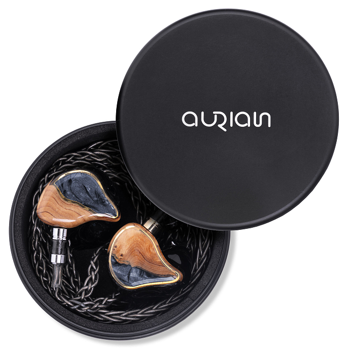 Кастомные наушники Aurian Tsunami Custom - рис.9