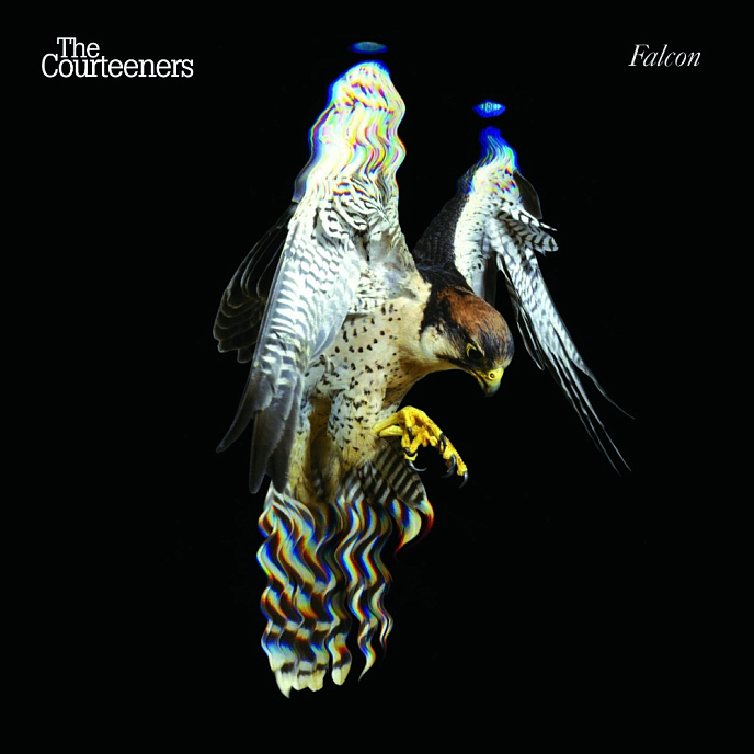 Виниловая пластинка The Courteeners - Falcon LP - рис.0