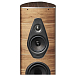 - рис.3 Напольная акустика Sonus Faber Olympica Nova V walnut - рис.3