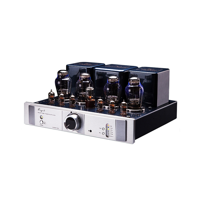 Интегральный усилитель Cayin A-300P MK2 Silver - рис.2