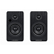 Полочная акустика Premiera RS-301A Black - рис.12