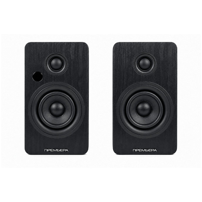 Полочная акустика Premiera RS-301A Black - рис.12