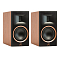 Martin Logan Motion XT B100 Bookshelf Walnut
