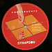 Виниловая пластинка Synapson - Convergence - рис.3