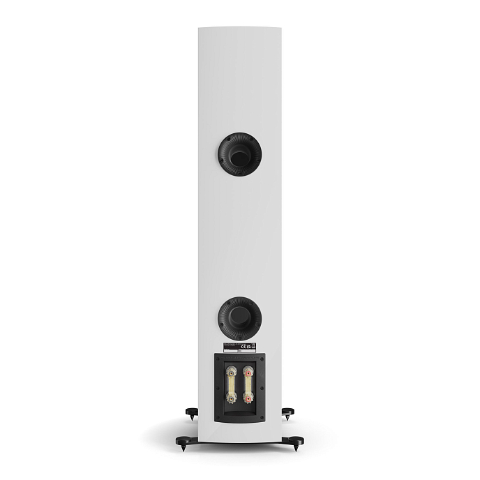 Напольная акустика Dali Rubikore 6 White High Gloss - рис.6