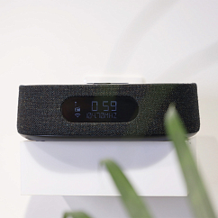 Портативная колонка Harman Kardon Citation Oasis Black