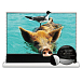 Экран для проектора Vividstorm S-Pro-P-White-120 White - рис.0