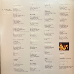 Виниловая пластинка John Frusciante - To Record Only Water For Ten Days (coloured) - 2LP