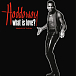 Виниловая пластинка Haddaway - What Is Love? The Singles of the 90s - рис.0