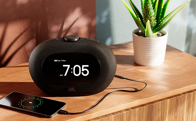 Портативная колонка JBL Horizon 3 Black - рис.9