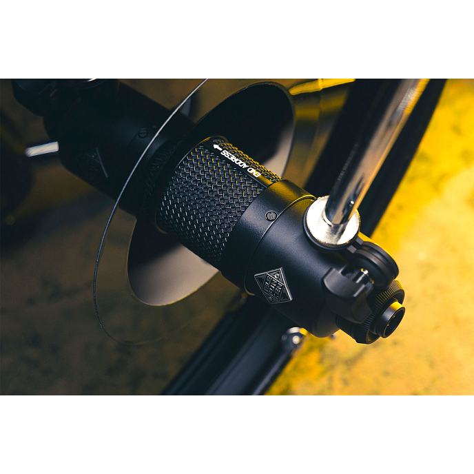 Микрофон инструментальный Telefunken DD4 - рис.13