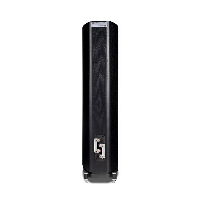 Напольная акустика Wharfedale EVO 4.3 Black Oak - рис.3