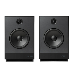 Полочная акустика Guru 12 Satin Black