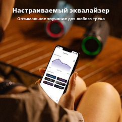Портативная колонка Tronsmart Mirtune S100 Black