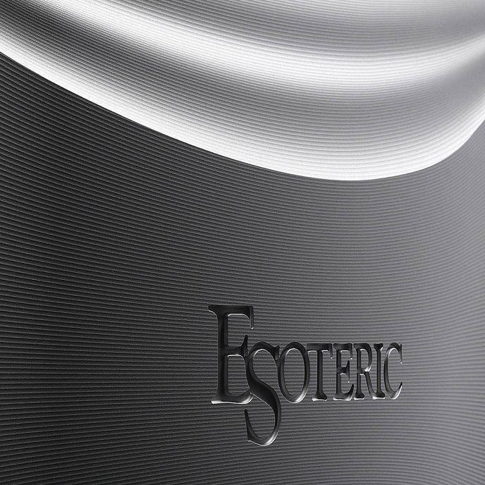 Усилитель мощности Esoteric Grandioso S1 silver - рис.5