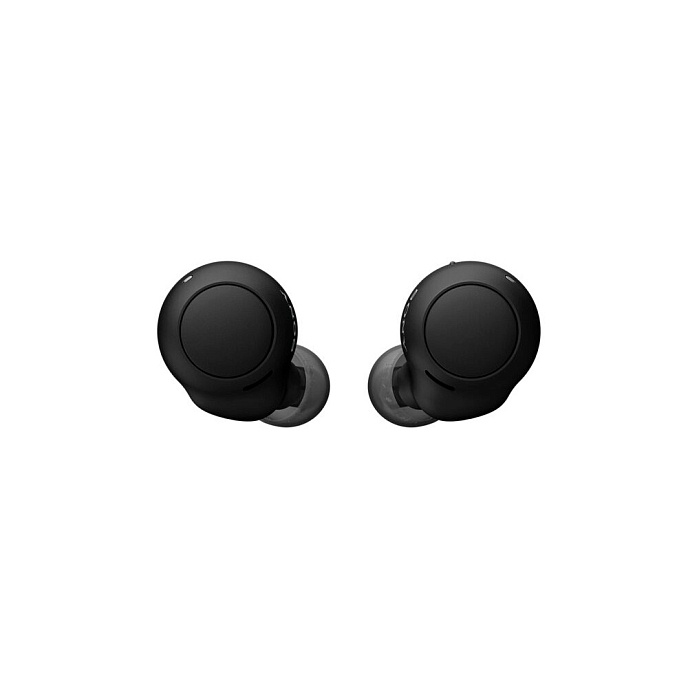 Беспроводные наушники Sony WF-C500 Black - рис.1