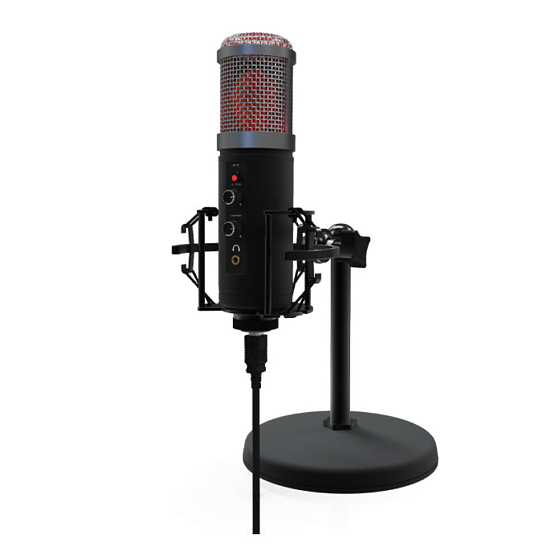 Микрофон для стриминга и игр Ritmix RDM-260 USB Eloquence Black - рис.0