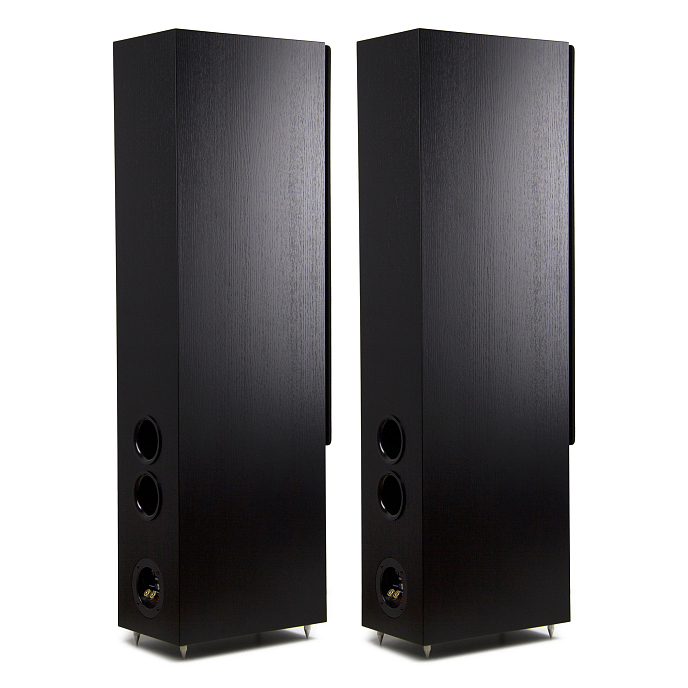 Напольная акустика Radiotehnika Vita 2.06 Black Ash - рис.2