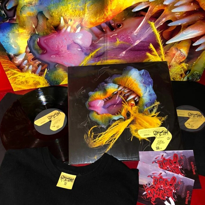 Виниловая пластинка Nikita Zabelin - Rhizome - 2LP - рис.3