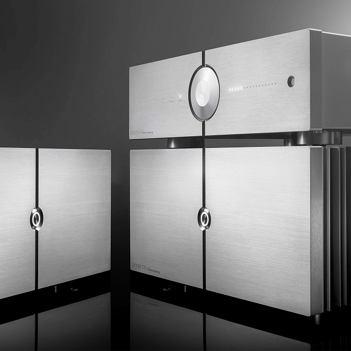 Усилитель мощности Audio Analogue Donizetti Anniversary Silver - рис.6