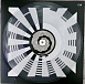 Виниловая пластинка Coil - Queens Of The Circulating Library - Clear LP - рис.1