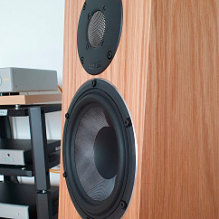 Полочная акустика PMC Twenty5 22i Oak