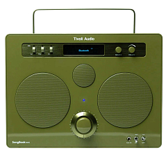 Беспроводная акустика Tivoli SongBook Max Green