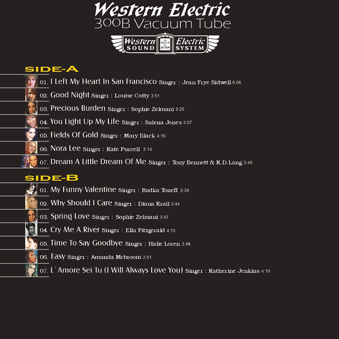 Виниловая пластинка Western Electric - 300B Vacuum Tubes Voices LP - рис.1