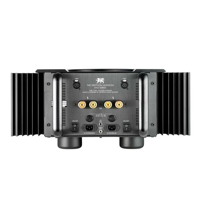 Усилитель мощности Gryphon Antileon EVO Mono Black - рис.1