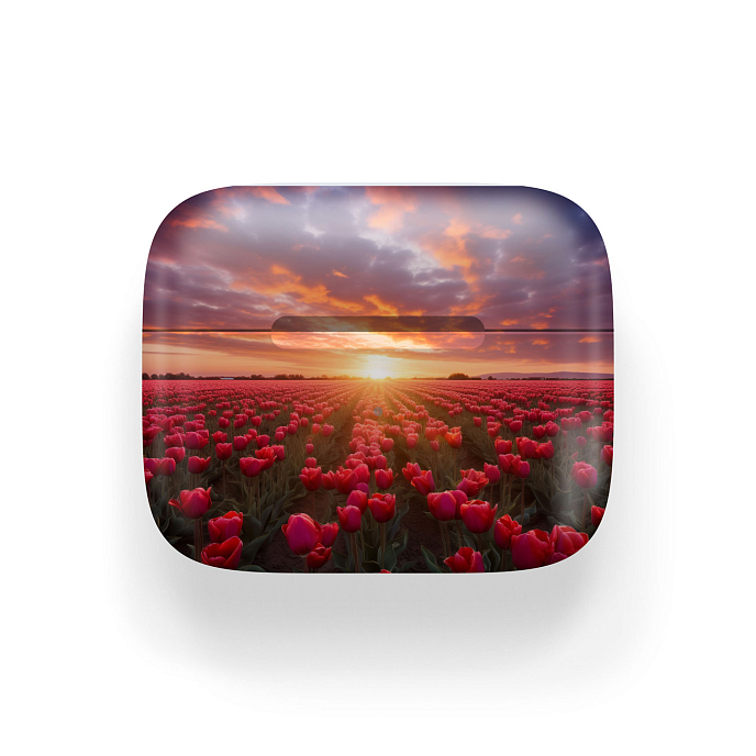 Беспроводные наушники Apple AirPods 3 Tulip Fields - рис.1