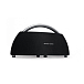 Портативная колонка Harman Kardon Go + Play Wireless Mini Black - рис.0