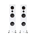 Напольная акустика PSB Imagine T65 White - рис.0 Напольная акустика PSB Imagine T65 White - рис.0