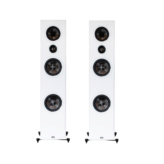 Напольная акустика PSB Imagine T65 White - рис.0