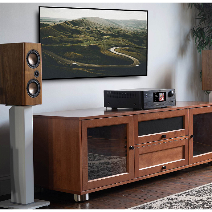 Интегральный усилитель Rotel RAS-5000 black интегральный стереоусилитель (SN 281-3381043)_Уценка - рис.7