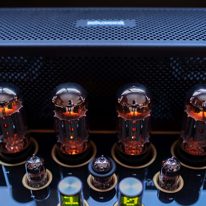 Интегральный усилитель Audio Research I/50 Black/Gold - рис.8