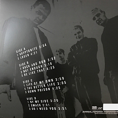 Виниловая пластинка 3 Doors Down – The Better Life (deluxe) - 2LP