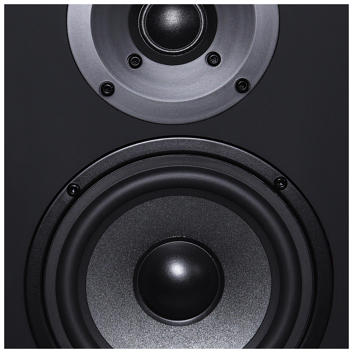 Полочная акустика Radiotehnika S-20N Walnut - рис.13