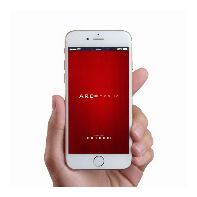 Предусилитель Anthem STR Preamplifier Black - рис.4