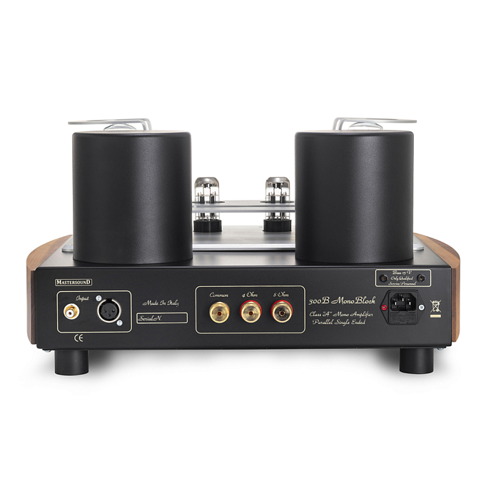 Усилитель мощности Mastersound 300B Monoblock Black Wood - рис.2