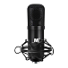 Микрофон студийный iCON M5 - рис.1