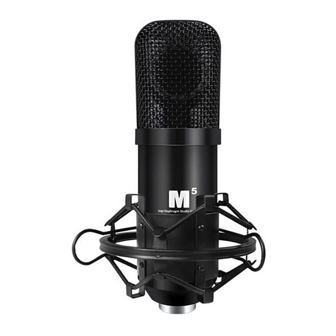 Микрофон студийный iCON M5 - рис.1