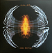 Виниловая пластинка Pearl Jam - Dark Matter - LP - рис.0