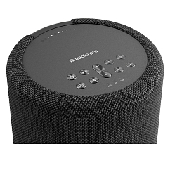 Портативная колонка Audio Pro A10 MKII W Black