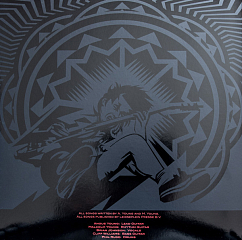 Пластинка ACDC - Black Ice