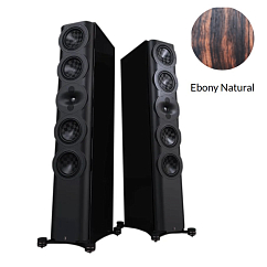 Напольная акустика Perlisten Audio S7t Special Edition Ebony Natural