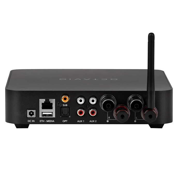 Усилитель Octavio Amp 100W Black - рис.2