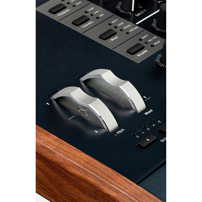 Синтезатор Arturia PolyBrute - рис.6